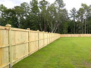 Wood Fencing 13